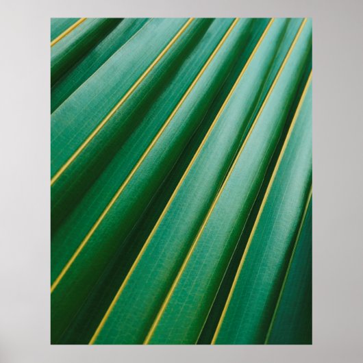 Poster Grandes plantes de texture verte (Devant)