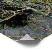 Poster Grandeur des montagnes de l'Idaho (Coin)