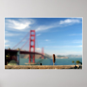 Poster Grandir au Golden Gate