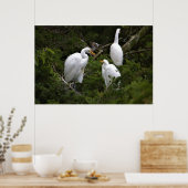 Poster Grands aigrettes avec bébé (Cuisine)