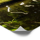 Poster Grands aigrettes dans le marais (Coin)