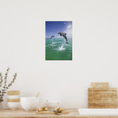 Poster Grands dauphins Tursiops truncatus (Cuisine)