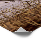 Poster Granes de Sandhill Grus canadensis) Platte (Coin)