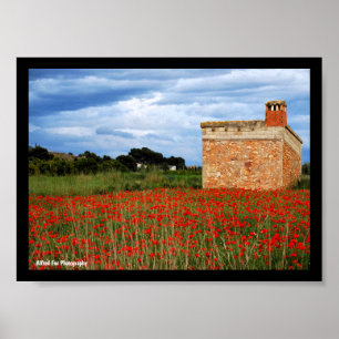 Poster Grange à la campagne dans un champ de coquelicots 