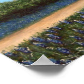 Poster Grange avec Bluebonnets (Coin)