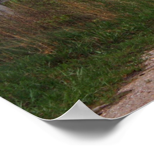 Poster Grange E (Coin)