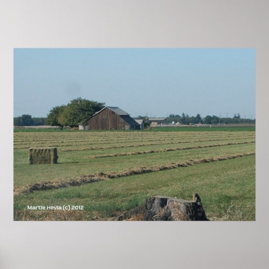 Poster Grange et Haystack (Devant)