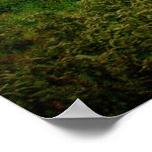 Poster Grange Rock Solid (Coin)