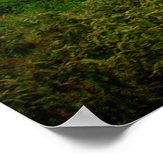 Poster Grange Rock Solid (Coin)