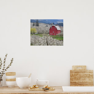 Poster Grange Rouge Pittoresque et Fleurs de Poirier