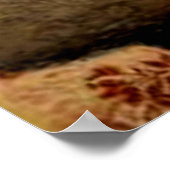 Poster Grant Wood - Appraisement, peinture fine art, (Coin)