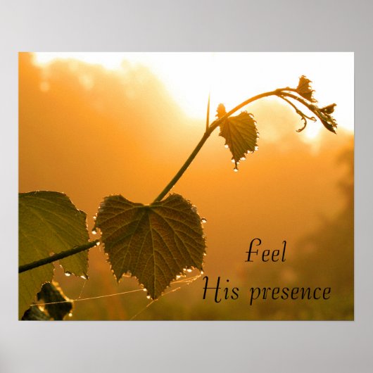 Poster Grapevine & Dewdrops at Sunrise-Inspirational (Devant)
