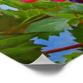 Poster Grapevine ensoleillée - Raisins colorés Peinture d (Coin)