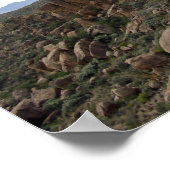 Poster Grapevine Hills Rocks & Chisos Mountains, Texas (Coin)