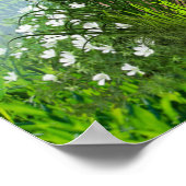 Poster Grapevines, chèvres et colibris (Coin)