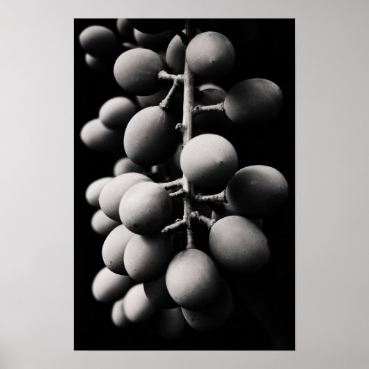 Poster graphes (Devant)