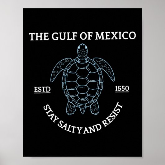 Poster Graphic Sea Turtle Golfe Du Mexique Est 1550 (Devant)
