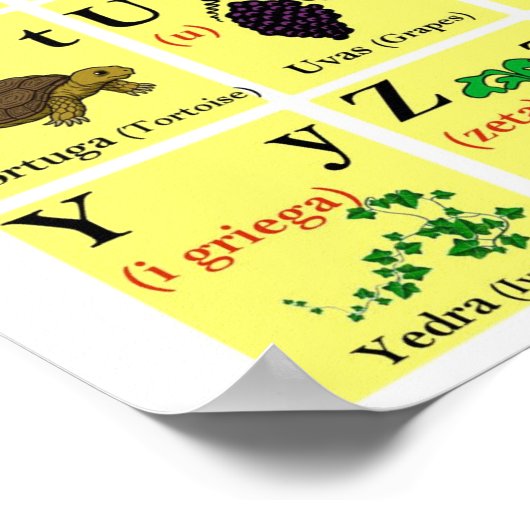 Poster Graphique alphabétique espagnol (Coin)