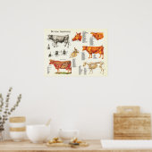 Poster Graphique anatomique de bovins - 18" X 24" (Cuisine)