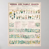 Poster Graphique botanique vintage (Devant)