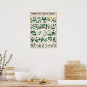 Poster Graphique botanique vintage (Cuisine)