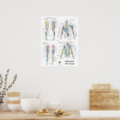 Poster Graphique d'anatomie musculaire espagnole (Cuisine)