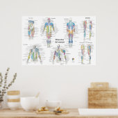 Poster Graphique d'anatomie musculaire espagnole (Cuisine)