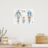 Poster Graphique d'anatomie musculaire espagnole (Cuisine)