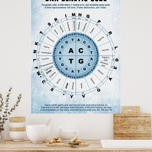 Poster Graphique de code génétique ADN (Cuisine)