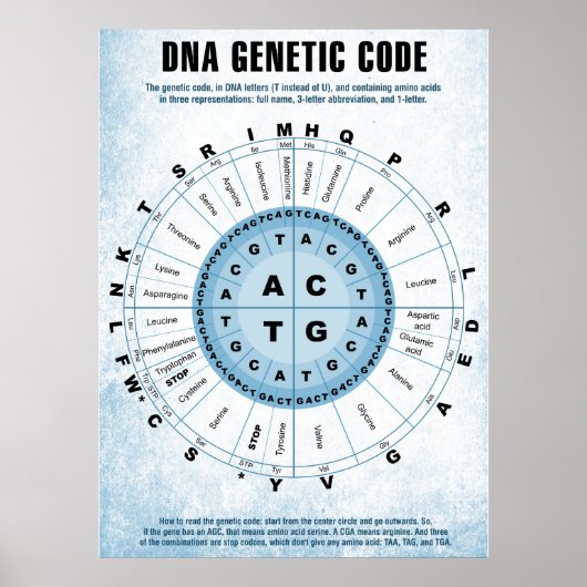 Poster Graphique de code génétique ADN (Devant)