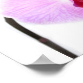 Poster Graphique de croissance Orchidées Blossoms Dons De (Coin)