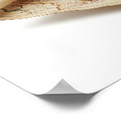 Poster Graphique de grenouille voyageuse (Coin)