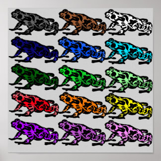 Poster Graphique de grenouilles arc-en-ciel