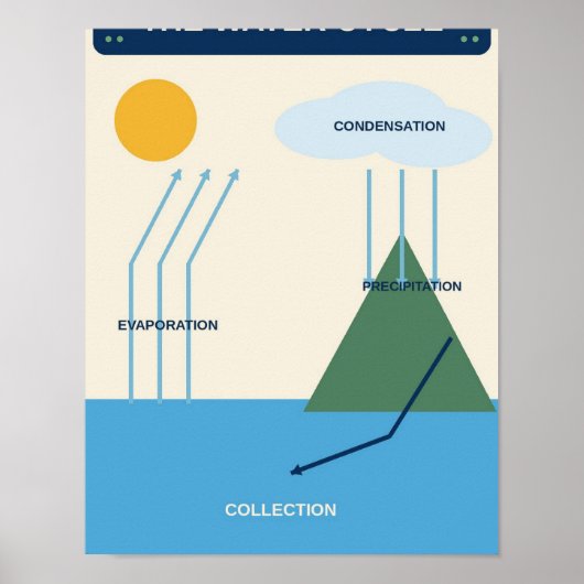 Poster Graphique de la classe de sciences du cycle de l'e (Devant)