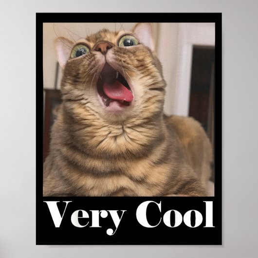 Poster Graphique de Mème de Chats Humour de Chat Drôle Ch (Devant)