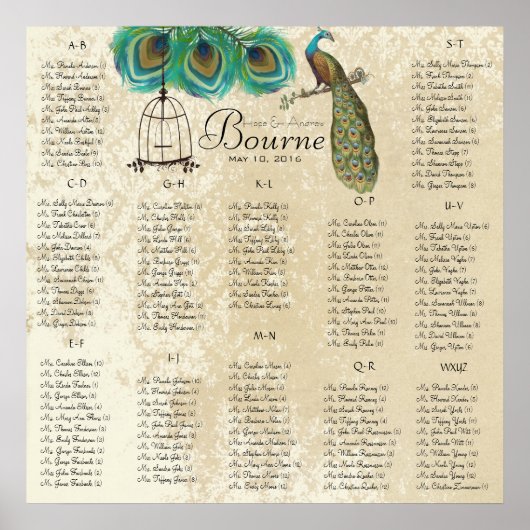 Poster Graphique de placement oiseaux de l'amour vintage  (Devant)