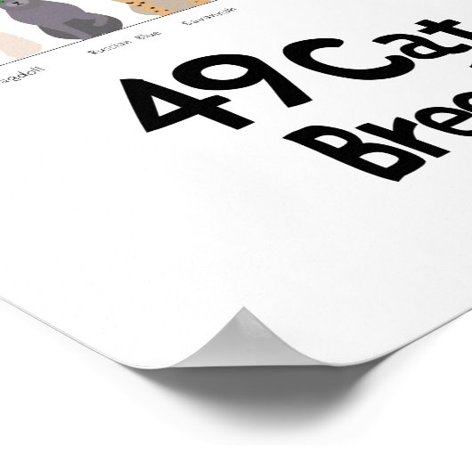 Poster graphique de race de chat (Coin)