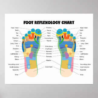 Poster Graphique de réflexologie des pieds 20" x 16", (Ma