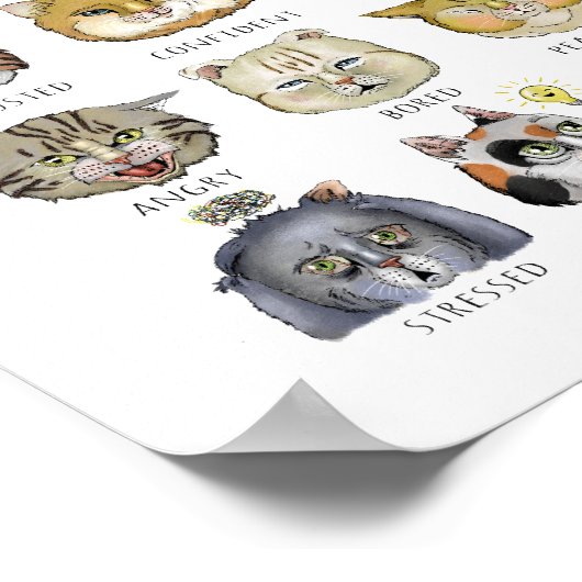Poster Graphique de sensations drôle de chat Comment êtes (Coin)