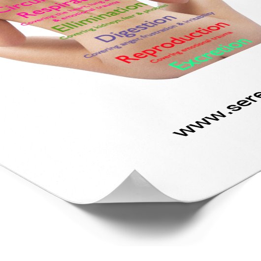 Poster Graphique de zone arrière (Coin)