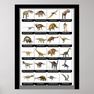 Poster Graphique des dinosaures