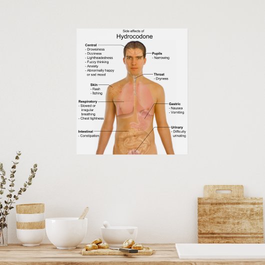 Poster Graphique des effets secondaires de l'hydrocodone  (Cuisine)