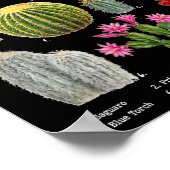 Poster Graphique des espèces de cactus drôles (Coin)