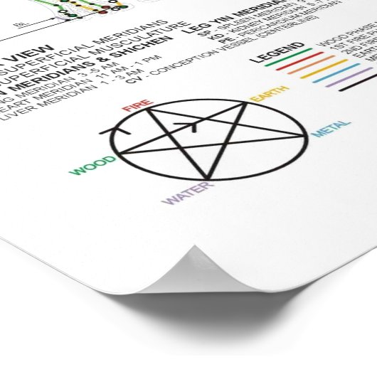 Poster Graphique des méridiens humains (Coin)