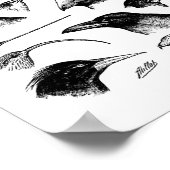 Poster Graphique des nomenclatures (Coin)