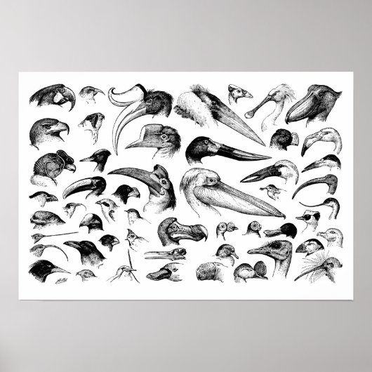 Poster Graphique des nomenclatures (Devant)