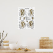 Poster Graphique des points d'acupuncture auriculothermiq (Cuisine)