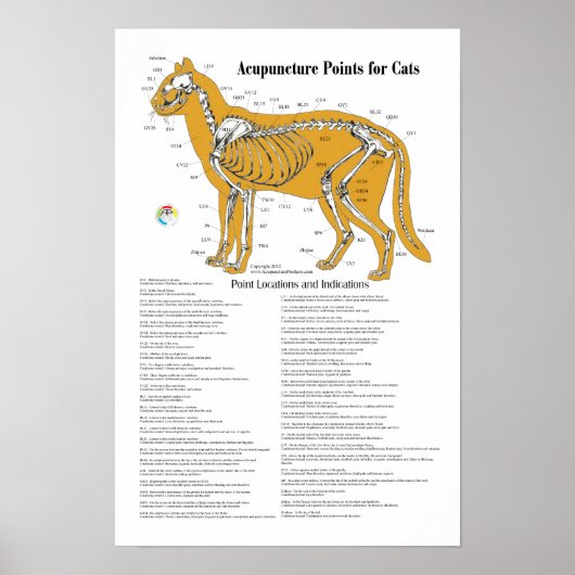 Poster Graphique des points d'acupuncture de l'acupunctur (Devant)