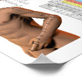 Poster Graphique des points de Méridiens d'acupuncture fr (Coin)