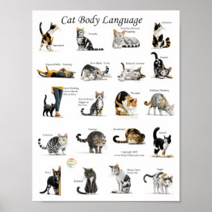 Poster Graphique du langage corporel du chat